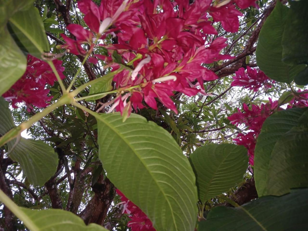 Casa Finca El Rosario San Marcos  Eksteriør billede